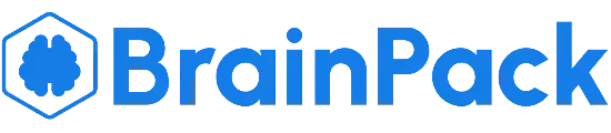 https://brainpack.ai